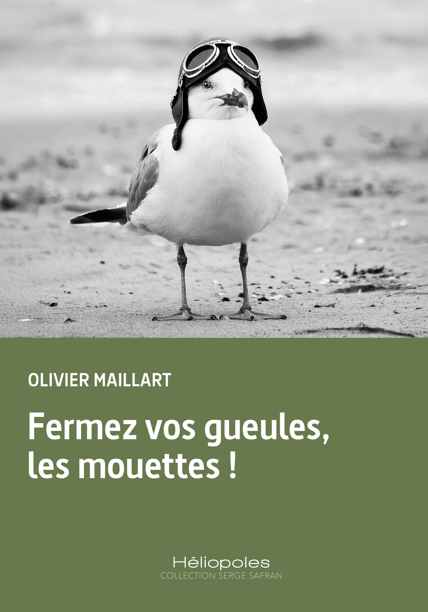 fermez vos gueules, les mouettes ! fermez vos gueules, les mouettes !