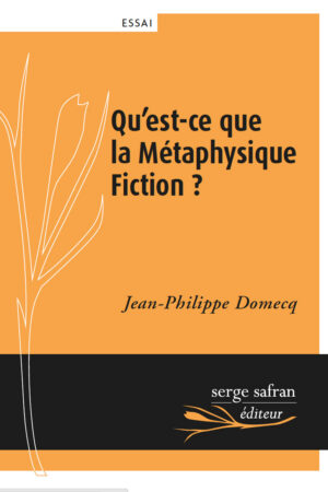 qu'est ce que la métaphysique fiction ?